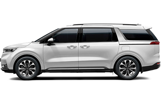 11 passenger kia carnival for sale